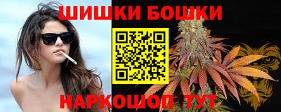 крисы Мариинск