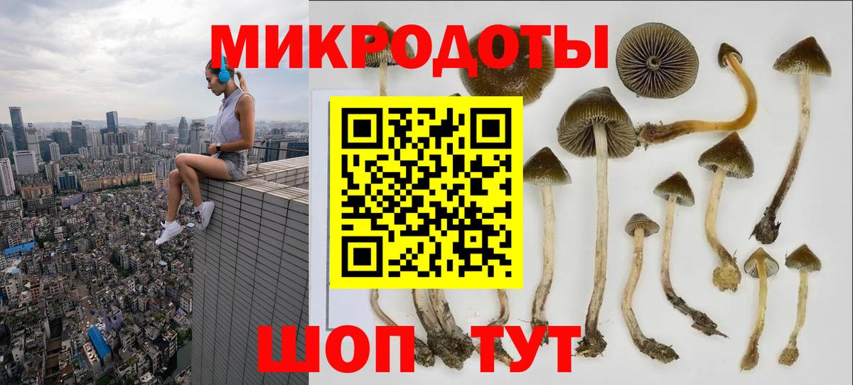 купить  сайты  Вход с VPN  Горно-Алтайск  Псилоцибиновые грибы Psilocybine cubensis  Галлюциногенные грибы мухоморы 
