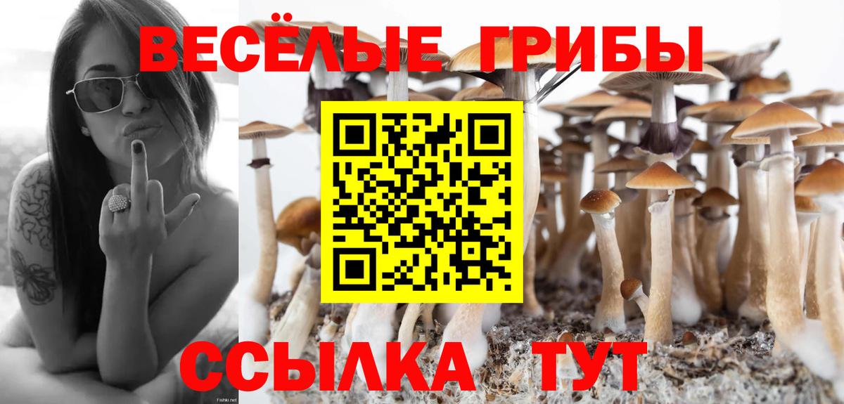 Псилоцибиновые грибы Magic Shrooms Горно-Алтайск