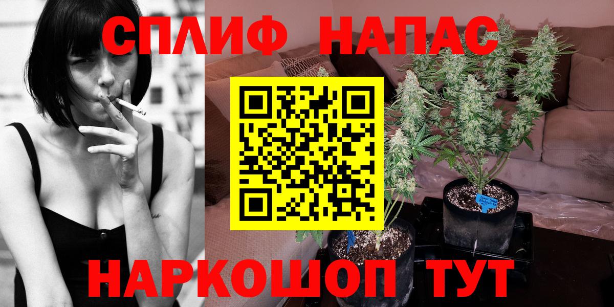 Канабис AK-47 Горно-Алтайск